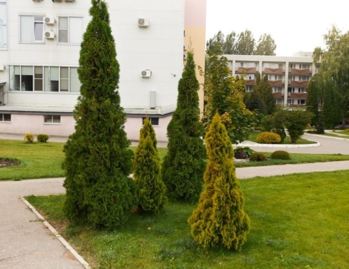 Санаторий «Самарский» Самара